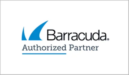 Barracuda Network Security Email Data Web Application Protection Firewalls Managed XDR Network Security Partner Dealer Distributor Price Nigeria +234-91591-00000